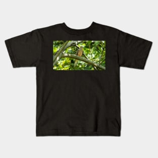 Mourning Dove Perched In a Tree Kids T-Shirt